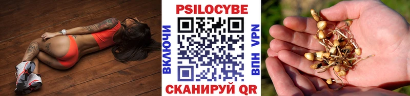 Псилоцибиновые грибы GOLDEN TEACHER  Унеча 